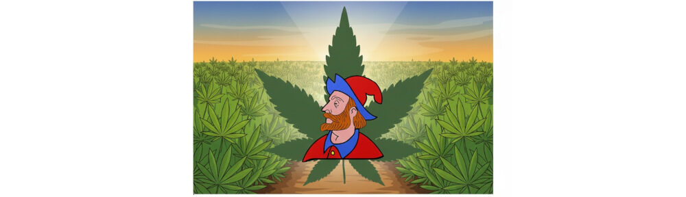 Aktionsbündnis Hanfkultur in Heidenheim