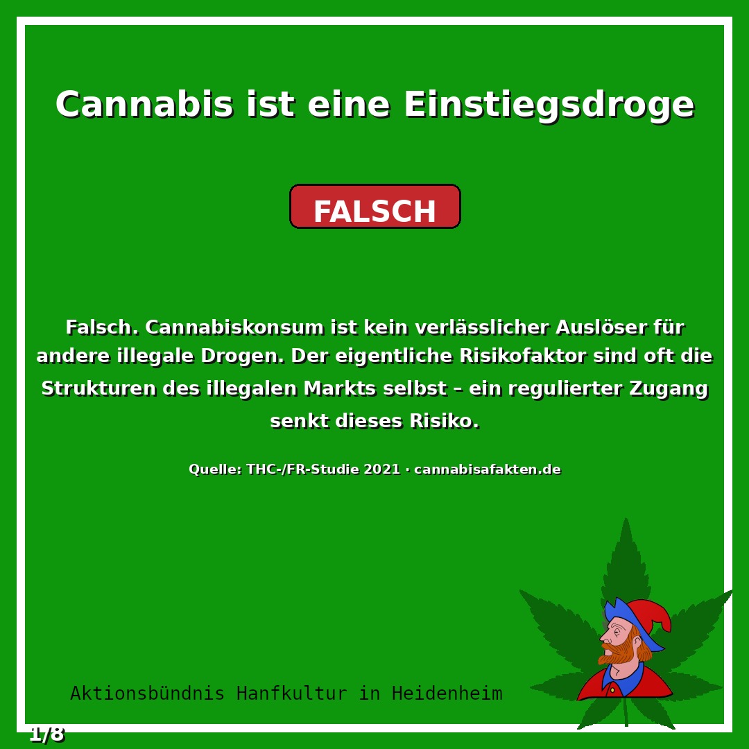 Studien zeigen: Cannabiskonsum ist kein verlässlicher Auslös