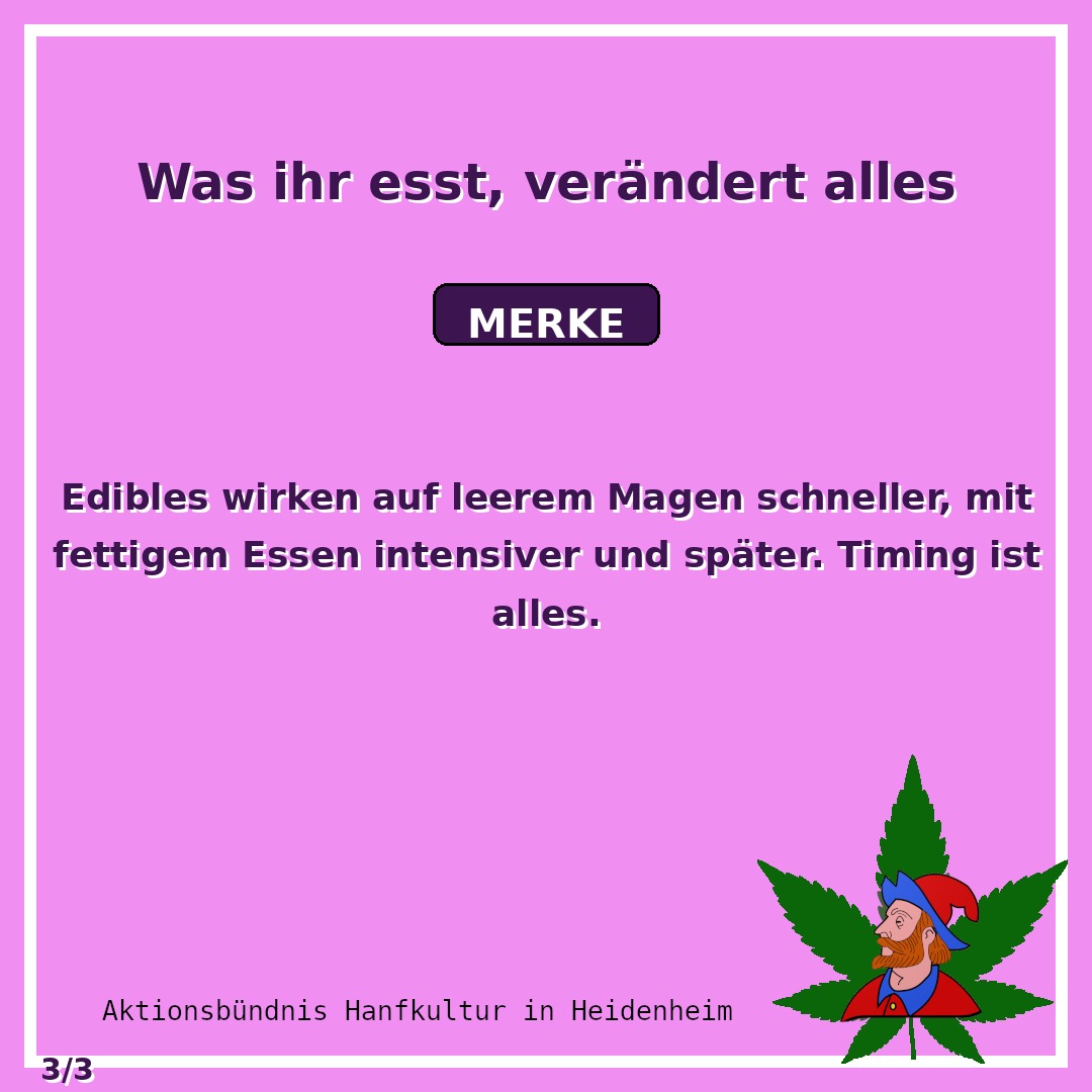 Nüchtern oder satt? Euer Magen bestimmt den Start · Merke